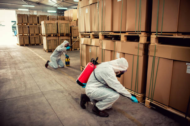 Best Pest Prevention Services  in Millwood, WA