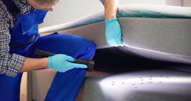 Best Local Pest Control Services  in Millwood, WA
